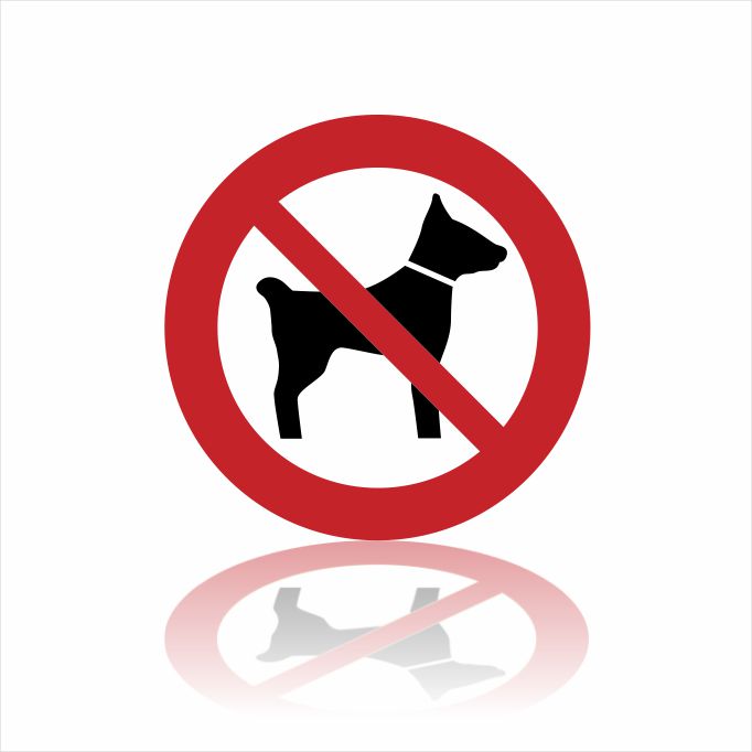 Pictogram geen honden sticker Pictogram geen honden sticker